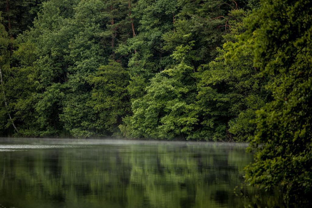 Waldsee Hotel Am Wirchensee Treppeln Kültér fotó