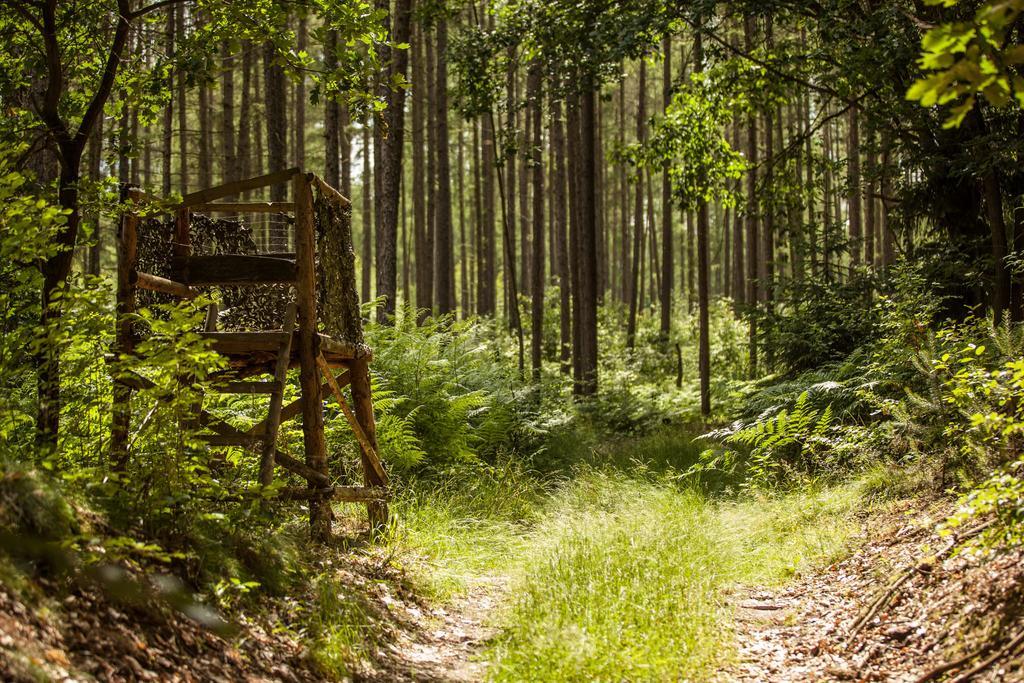 Waldsee Hotel Am Wirchensee Treppeln Kültér fotó