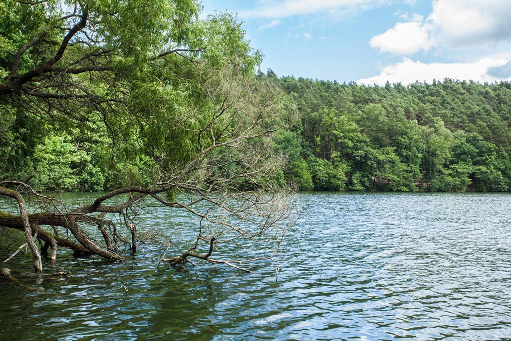 Waldsee Hotel Am Wirchensee Treppeln Kültér fotó