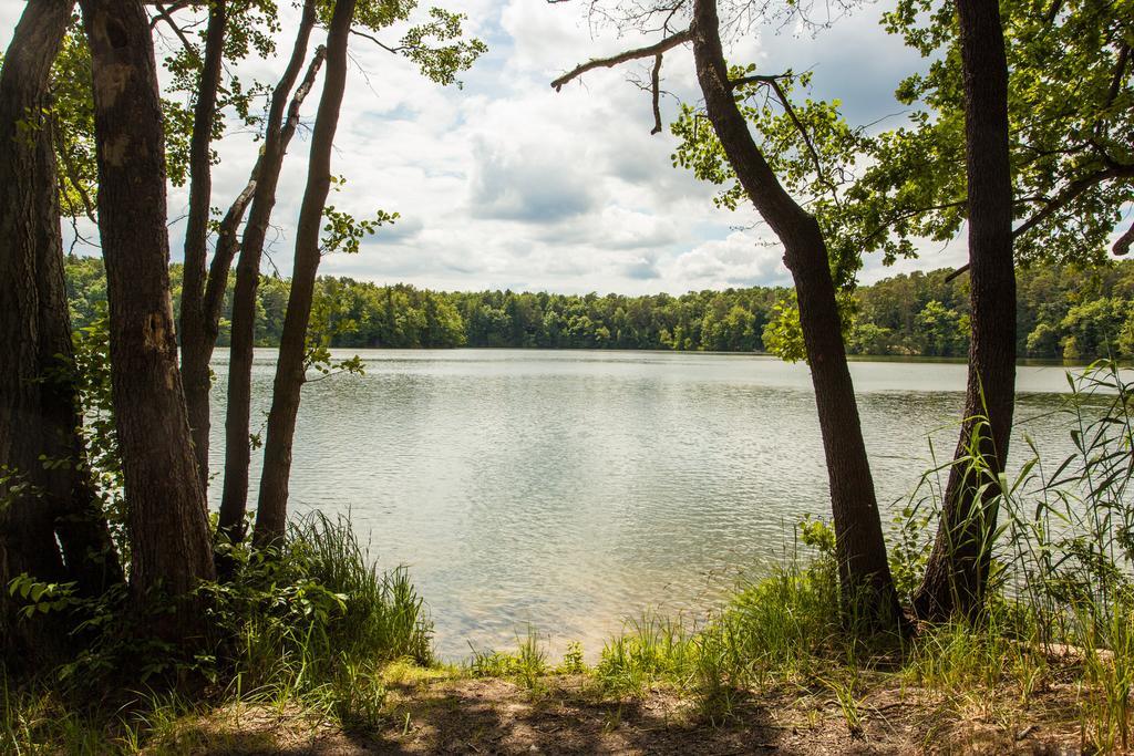 Waldsee Hotel Am Wirchensee Treppeln Kültér fotó